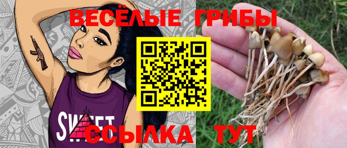 Белебей  Галлюциногенные грибы GOLDEN TEACHER  Вход с VPN 