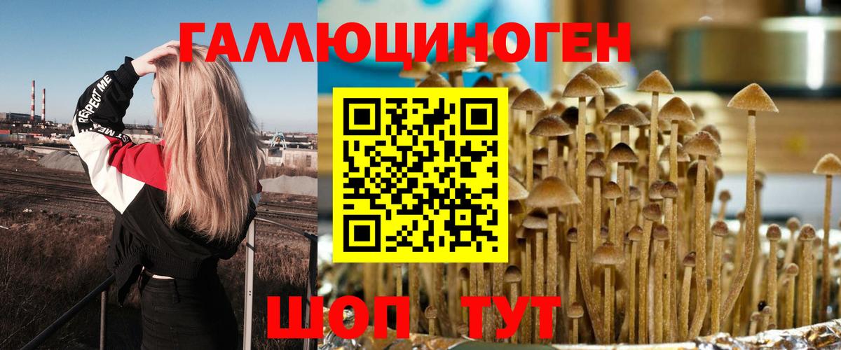 Псилоцибиновые грибы GOLDEN TEACHER Белебей